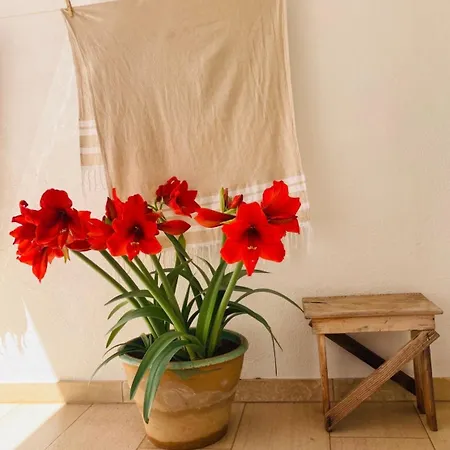 Casa Versomare Celeste * Gagliano del Capo